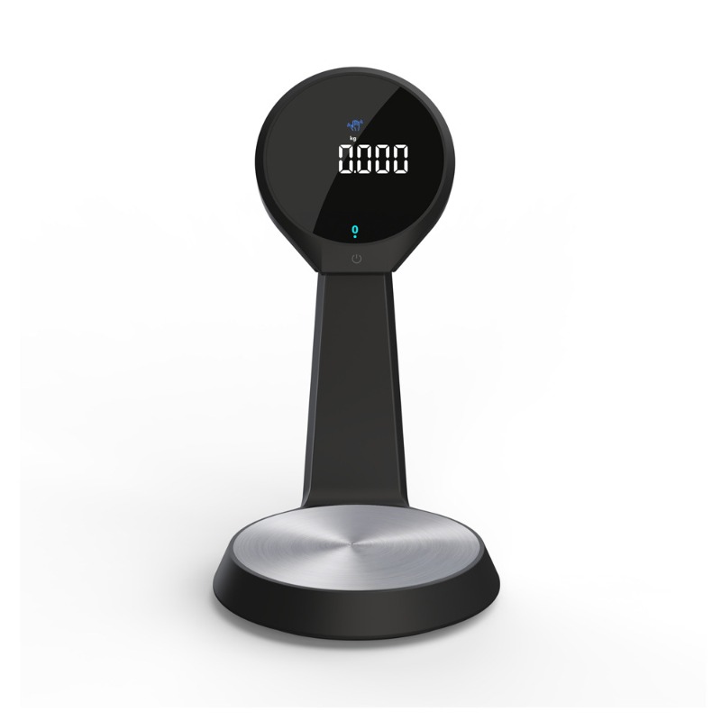 High Precision Digital Kitchen - đánh giá và giá Kitchen Baking Scale